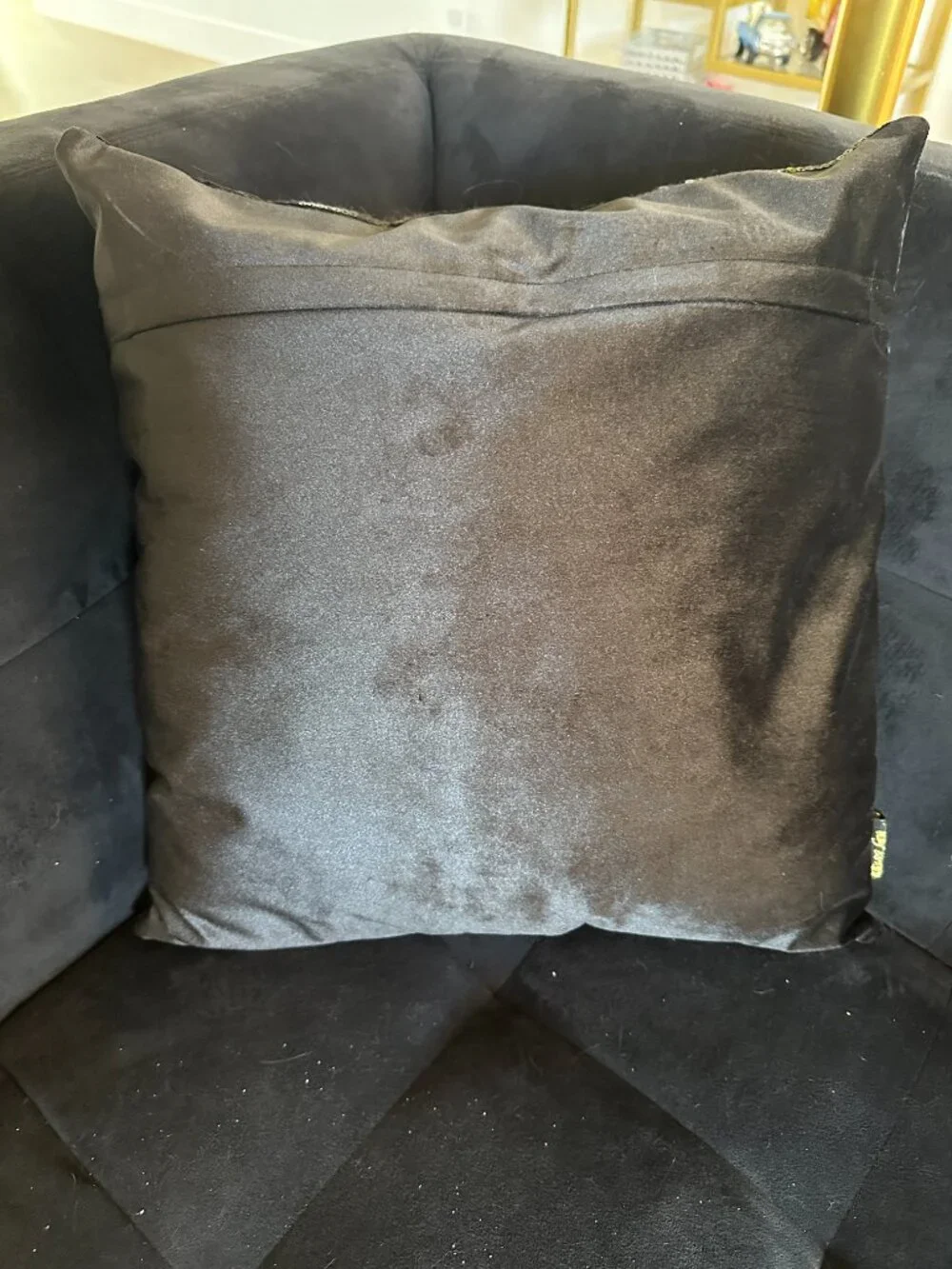 Decorative Pillow with Gold Lips on Black